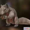 1530888 - PBR Game 3D Models - Squirrel Animation 3D Max