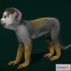 1530890 - PBR Game 3D Models - Squirrel Monkeys Saimiri Game Ready 3D Max