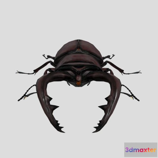 1530896 - PBR Game 3D Models - Stag beetle 3D Max