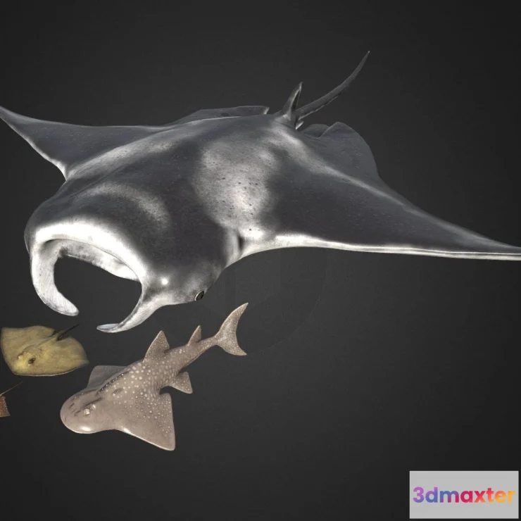 1531116 - PBR Game 3D Models - Stingrays Pack 3D Max