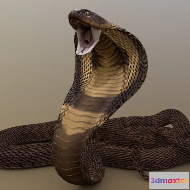 1531142 - PBR Game 3D Models - Striking Cobra 3D Max