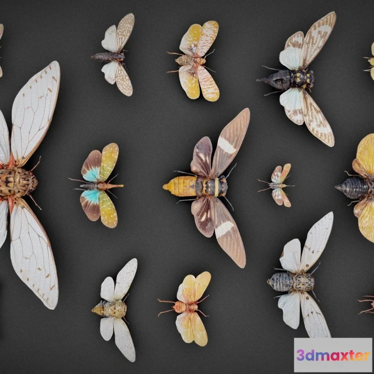 1531182 - PBR Game 3D Models - 15 Cicadas Collection 3D Max