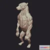 1531356 - PBR Game 3D Models - Bear Anatomy 3D Max