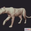 1531360 - PBR Game 3D Models - Bengal Tiger Anatomy Base Wip 3D Max