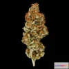 1531392 - PBR Game 3D Models - Bongi Cannabis Model 3D Max