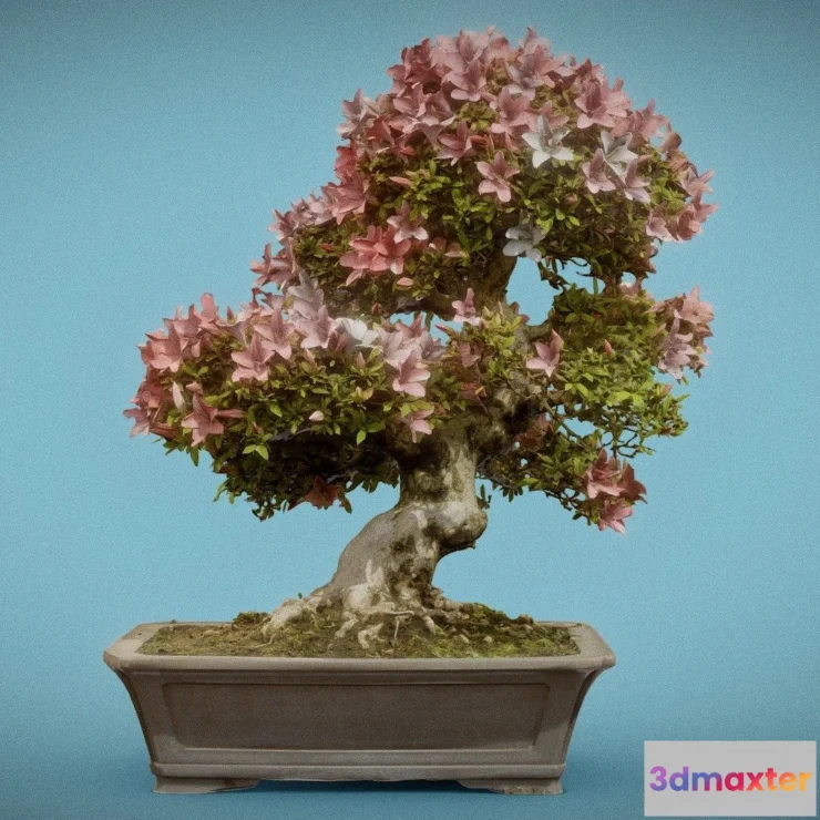 1531394 - PBR Game 3D Models - Bonsai 12 3D Max