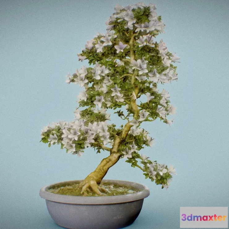 1531396 - PBR Game 3D Models - Bonsai 3 3D Max