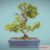 1531398 - PBR Game 3D Models - Bonsai 6 3D Max