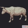 1531418 - PBR Game 3D Models - Bull Anatomy 3D Max