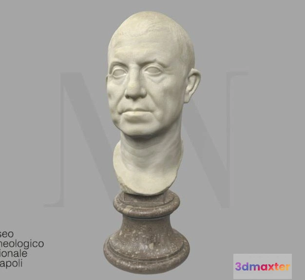 1531432 - PBR Game 3D Models - Busto Ritratto Cd Terentius 6245 3D Max