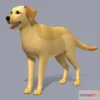 1531466 - PBR Game 3D Models - Cartoon Dog Labrador 3D Max