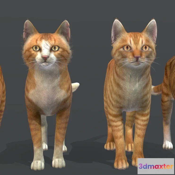 1531488 - PBR Game 3D Models - Cats Pack 1 3D Max
