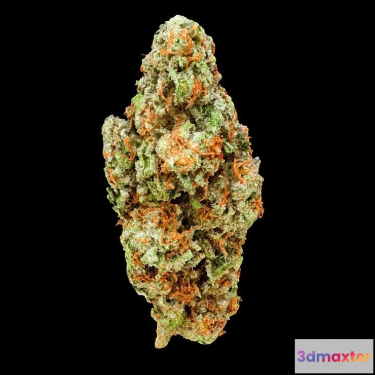 1531514 - PBR Game 3D Models - Cherry Punch Cannabis Model 3D Max