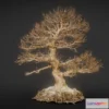 1531622 - PBR Game 3D Models - Dead Bonsai 1 3D Max