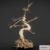 1531624 - PBR Game 3D Models - Dead Bonsai 6 3D Max