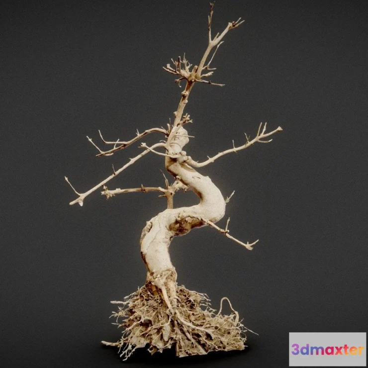 1531624 - PBR Game 3D Models - Dead Bonsai 6 3D Max