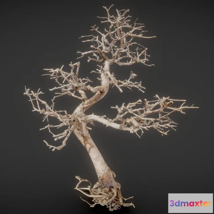 1531626 - PBR Game 3D Models - Dead Bonsai 9 3D Max