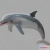 1531654 - PBR Game 3D Models - Dolphin 3D Max
