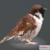 1531708 - PBR Game 3D Models - Eurasian Tree Sparrow 3D Max