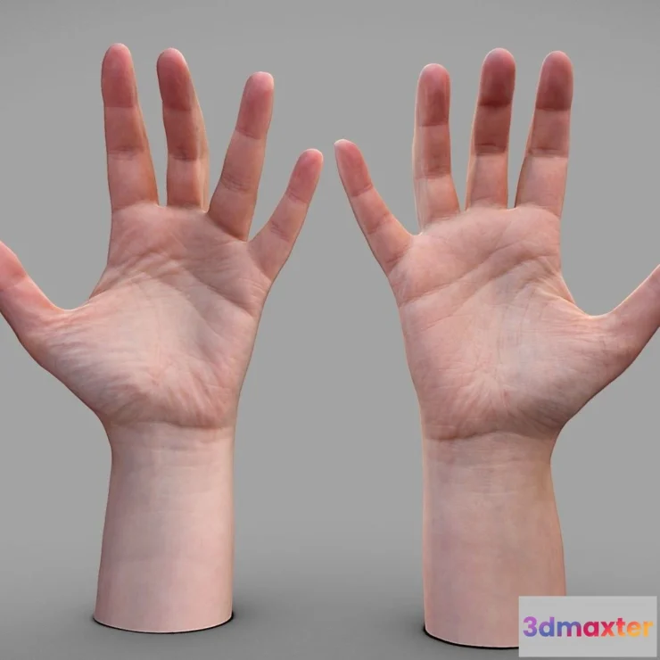 1531744 - PBR Game 3D Models - Female Hands 3D Max