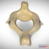 1531796 - PBR Game 3D Models - 2Nd Cervical Vertebra (Axis) 3D Max