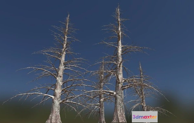 1531806 - PBR Game 3D Models - 4 Dead Fir Trees Pack (Ultrahigh Poly) 3D Max