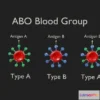 1531822 - PBR Game 3D Models - ABO Blood Group 3D Max