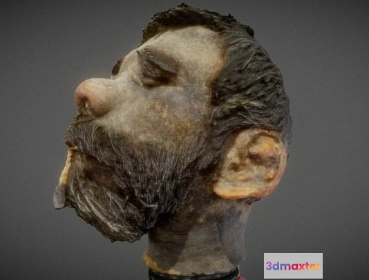 1531824 - PBR Game 3D Models - Aboriginal Shrunken Head 3D Max