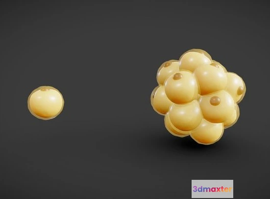 1531844 - PBR Game 3D Models - Adipocyte Fat Cell Anatomy 3D Max