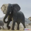1531850 - PBR Game 3D Models - African Elephant Animated - VFX Grace 3D Max