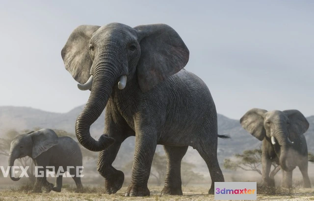 1531850 - PBR Game 3D Models - African Elephant Animated - VFX Grace 3D Max