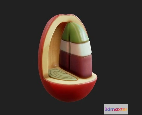 1531880 - PBR Game 3D Models - Anatomy Of The Coffee Fruit 3D Max