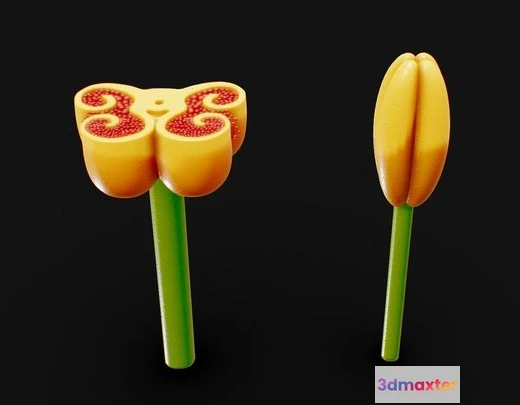 1531896 - PBR Game 3D Models - Anther Cross Section Anatomy 3D Max