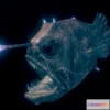1531946 - PBR Game 3D Models - Atlantic Footballfish 3D Max