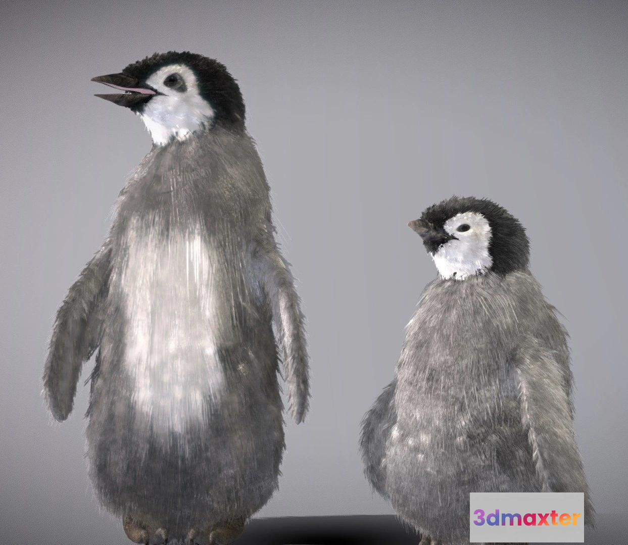 1531954 - PBR Game 3D Models - Baby Emperor Penguin ( Juvenile ) 3D Max