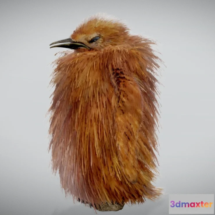 1531964 - PBR Game 3D Models - Baby King Penguin ( Chick ) 3D Max