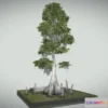 1531980 - PBR Game 3D Models - Bald Cypress Tree 3D Max