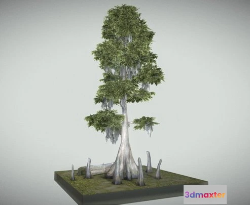 1531980 - PBR Game 3D Models - Bald Cypress Tree 3D Max