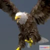 1531982 - PBR Game 3D Models - Bald Eagle 3D Max