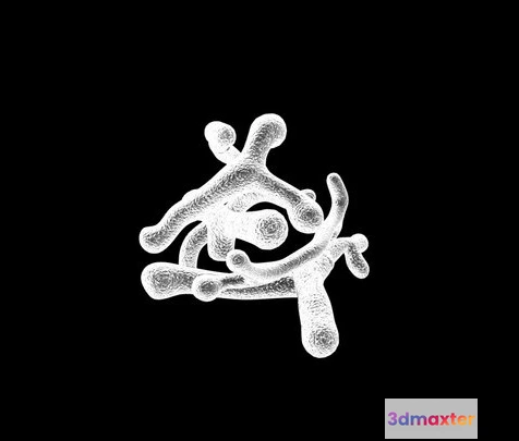 1531994 - PBR Game 3D Models - Bifidobacterium Longum Bacteria 3D Max