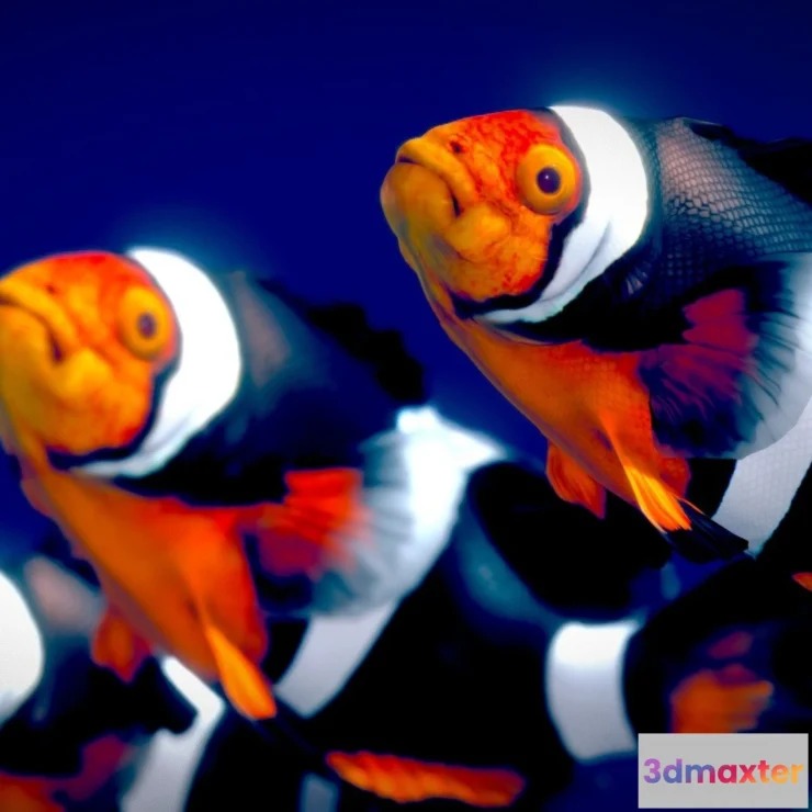 1532012 - PBR Game 3D Models - Black Photon Clownfish 3D Max