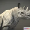 1532016 - PBR Game 3D Models - Black Rhinoceros 3D Max