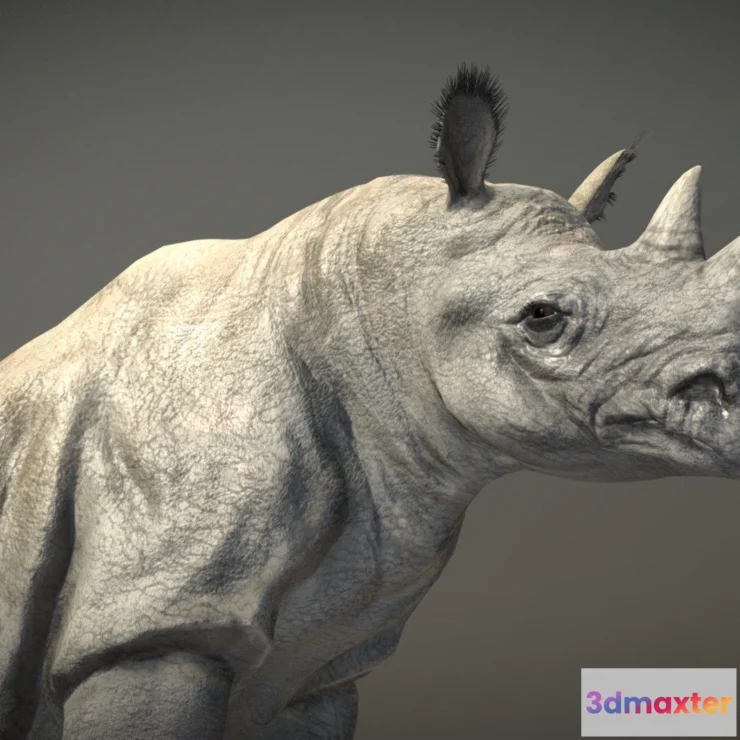 1532016 - PBR Game 3D Models - Black Rhinoceros 3D Max