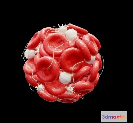 1532028 - PBR Game 3D Models - Blood Clot Thrombus 3D Max