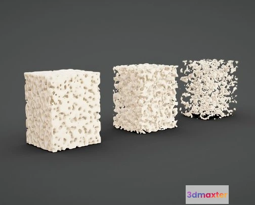 1532046 - PBR Game 3D Models - Bone Tissue Structure 3D Max