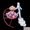 1532076 - PBR Game 3D Models - Bronchioles And Alveoli Anatomy 3D Max