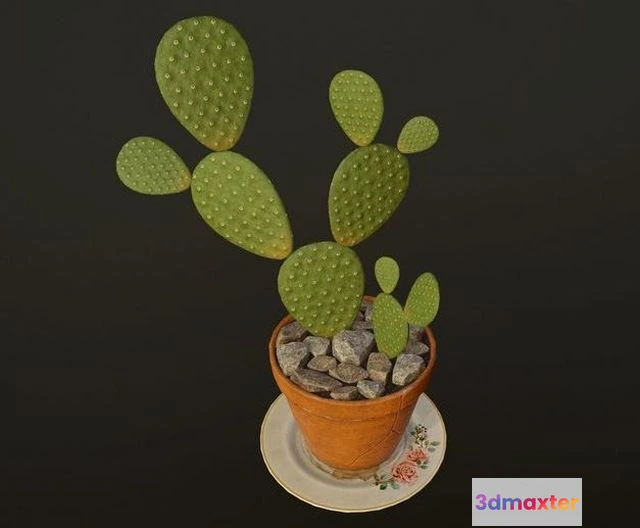 1532096 - PBR Game 3D Models - Cactus in pot 3D Max