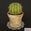 1532098 - PBR Game 3D Models - Cactus v2 in pot 3D Max
