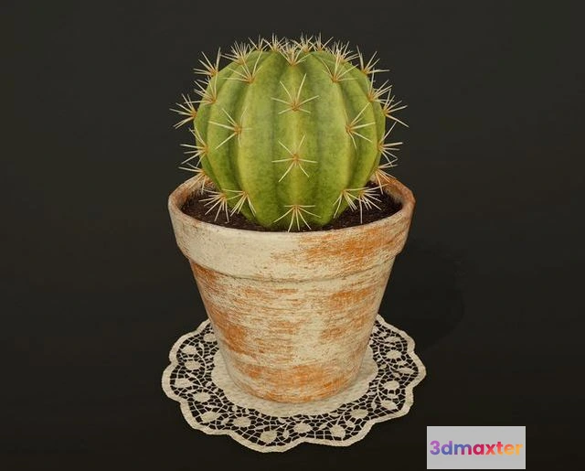1532098 - PBR Game 3D Models - Cactus v2 in pot 3D Max