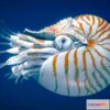 1532128 - PBR Game 3D Models - Chambered Nautilus 3D Max